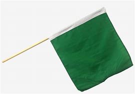 Image result for Green Race Flag