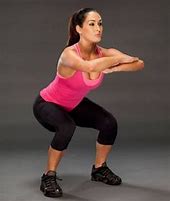 Image result for Bella Twins Exercise