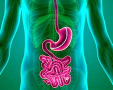 Image result for Rue En Y Gastric Bypass