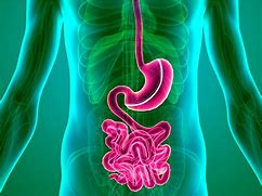 Image result for Roux En Y Gastric Bypass