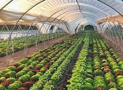 Image result for agroindustrua