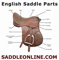 Image result for Pelham Bit and Bridle Diagram