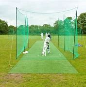 Image result for Green Cricket Pitch