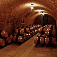 Image result for Romano Dal Forno Amarone della Valpolicella Vigneto di Monte Lodoletta