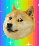 Image result for Rainbow Doge Meme