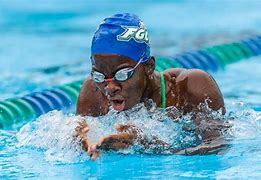 Image result for What Is a Swimmer