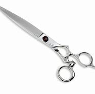 Image result for Specialty Scissors