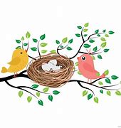 Image result for Bird Nest Vector