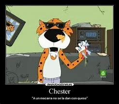 Image result for Cheeto Cat Meme
