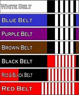 Image result for BJJ Belt Ranks