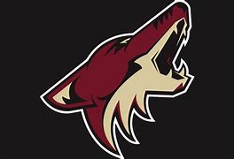 Image result for Arizona State Coyotes Hockey