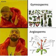 Image result for Botany Meme