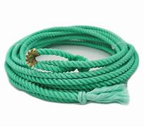 Image result for Coiled Lasso Rope