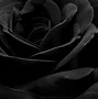 Image result for Black Flower Wallpaper 4K
