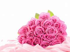 Image result for Pink Rose iPhone SE 5