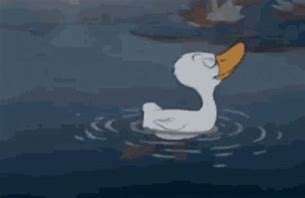 Image result for Duck Enjoying Pool Meme