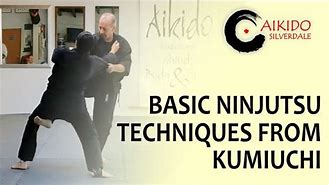 Image result for Ninjutsu Skills