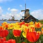 Image result for Tourist Attractions in Netherlands