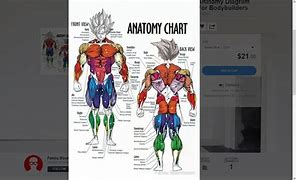 Image result for Dragon Ball Anatomy