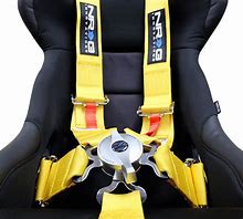 Image result for Seat Belt Harness