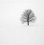 Image result for Minimalist Photography