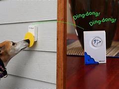 Image result for Dog Ring Doorbell Meme