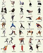 Image result for Strongest Martial Artist