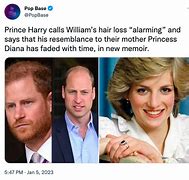 Image result for Prince Harry Sudio Book Meme