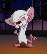 Image result for Pinky and the Brain Show