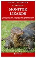 Image result for Lace Monitor Lizard