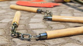 Image result for Martial Arts Weapons