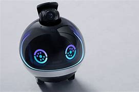 Image result for Robot Companion
