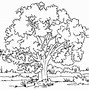 Image result for Apple Tree Coloring