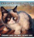 Image result for Cute Grumpy Cat Memes