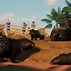 Image result for Planet Zoo Memes
