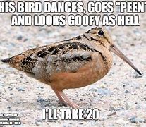 Image result for Woodcock Memes