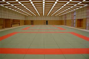 Image result for Tatami Judo Mats