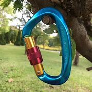 Image result for D-shaped Carabiner