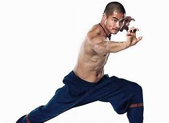 Image result for Tiger Claw Kung Fu