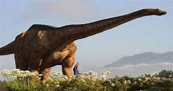 Image result for The Largest Dinosaur Ever Discovered