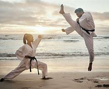 Image result for Karate Fighting