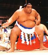 Image result for Hawaiian-born Sumo Wrestlers