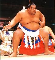 Image result for Hawaiian Sumo Wrestler