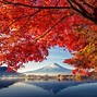 Image result for Japan View