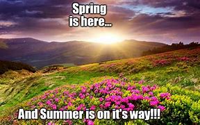 Image result for Finally Spring Meme