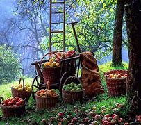 Image result for Fall Scene with Apple Tree