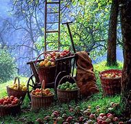 Image result for Fall Apple Harvest