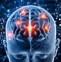 Image result for Mind Brain Body Connection