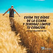 Image result for ciza�a
