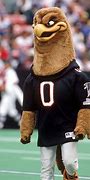 Image result for Funny Mascots